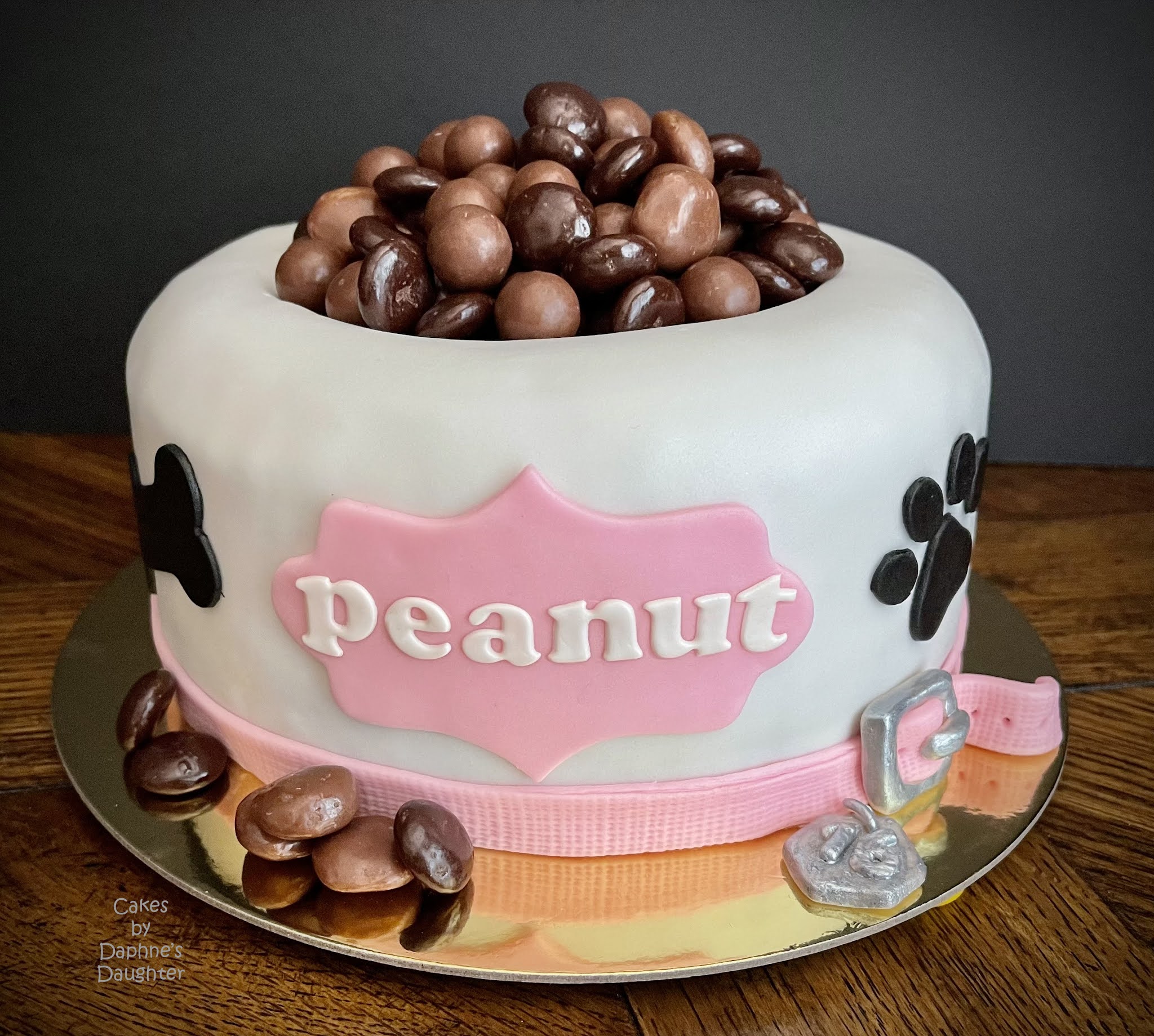 Can Chocolate Cake Kill A Dog