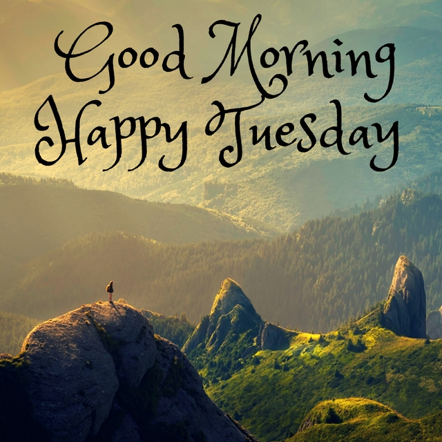 god morning happy tuesday