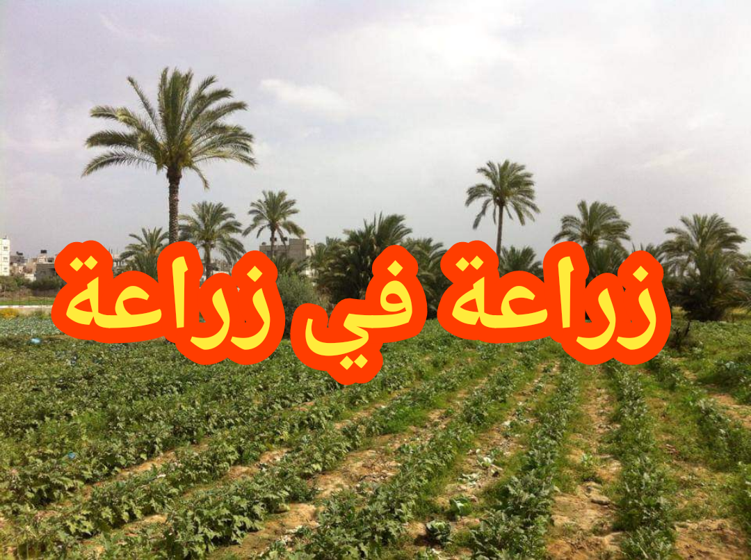 شعار زراعة في زراعة 5