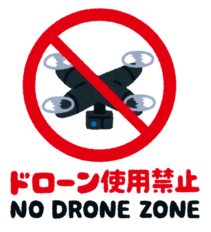 kinshi_mark_drone.png (728×800)