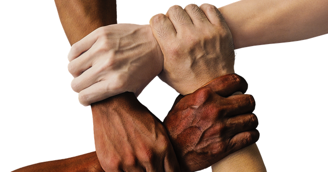 Frasi E Aforismi Sulla Diversita