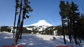 Mount Hood Meadows Ski area
