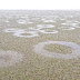 Το μυστήριο στη λίμνη Κερκίνη: Εκατοντάδες τέλειοι κύκλοι στον πυθμένα