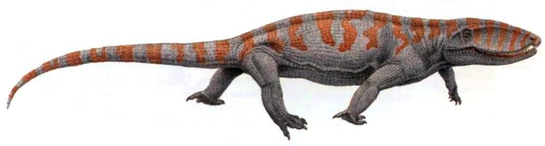 Blog de la Vida Prehistórica