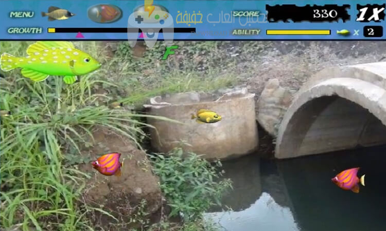 تحميل لعبة السمكة 4 Feeding Frenzy تحميل لعبة السمكة 4 Feeding Frenzy