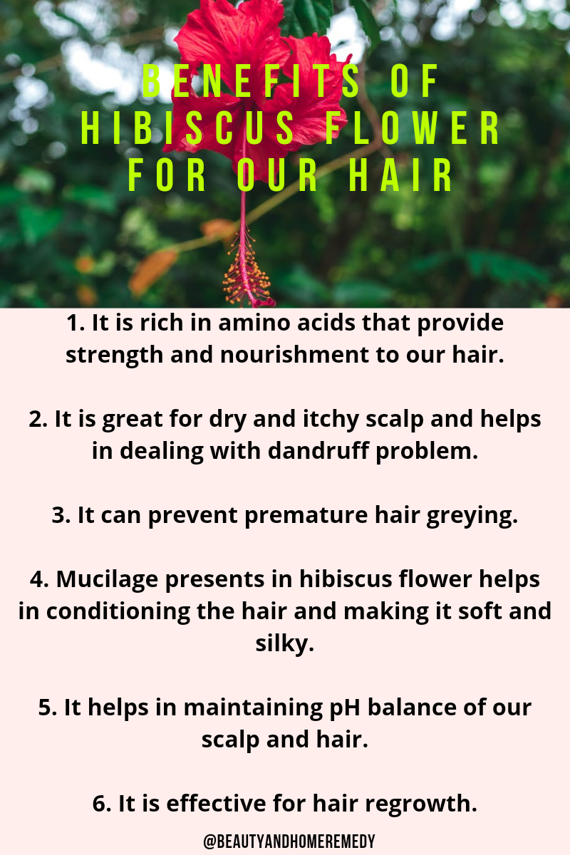 6 DIFFERENT WAYS TO USE HIBISCUS FOR HAIR GROWTH AND HEALTHY HAIR