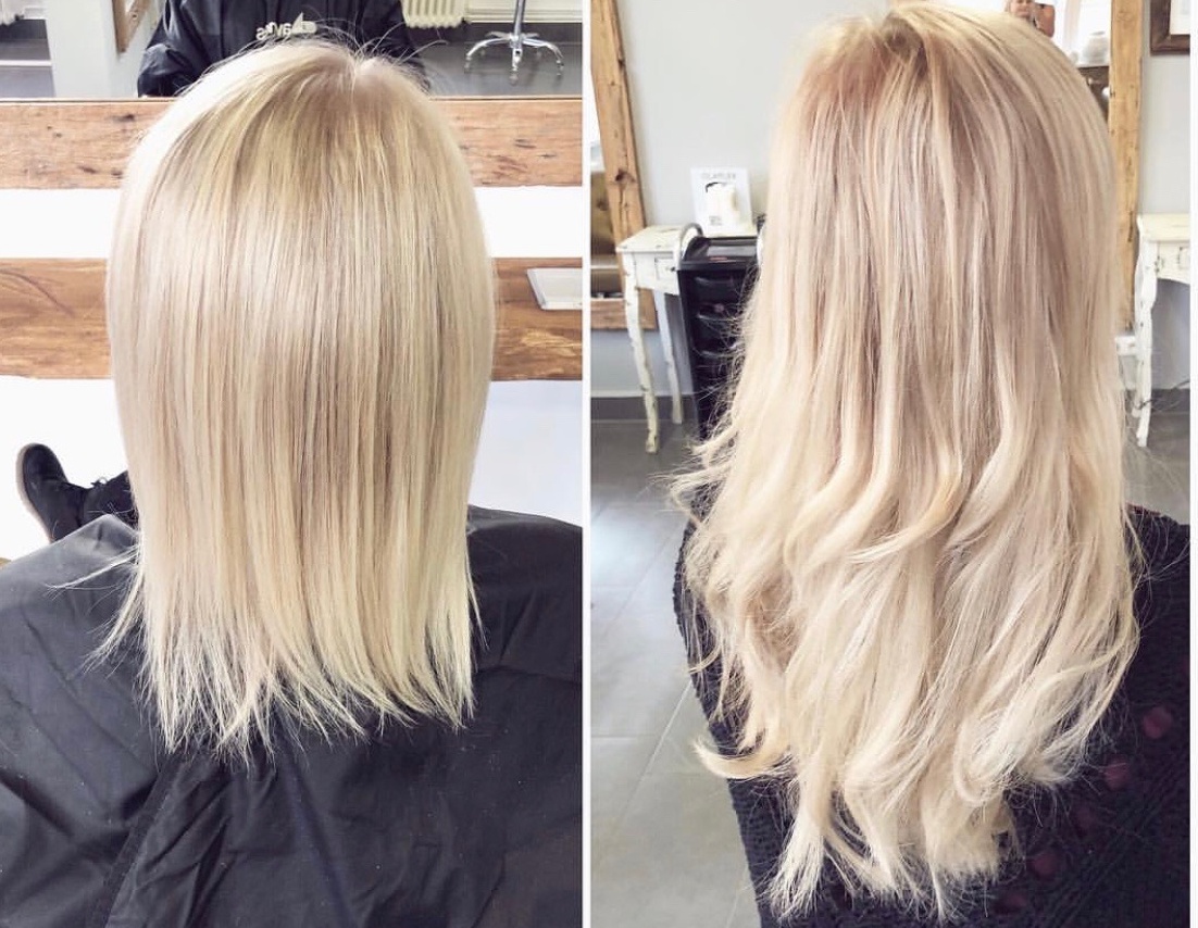 Jahresruckblick 2017 Reisen Verluste Erfolge Mareike