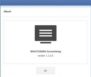 برنامج تصوير الشاشه فيديو  screensnag 