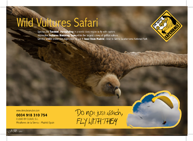 Vuelo con Buitres parapente Madrid Vuelo parapente Madrid con Buitres