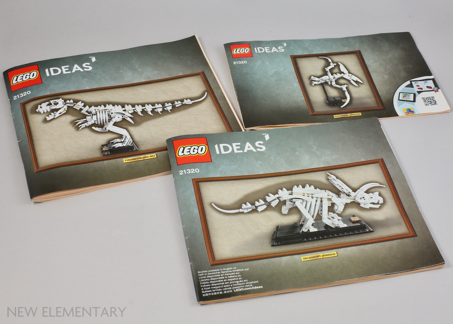 LEGO® Ideas review: 21320 Dinosaur Fossils | New Elementary: LEGO ...