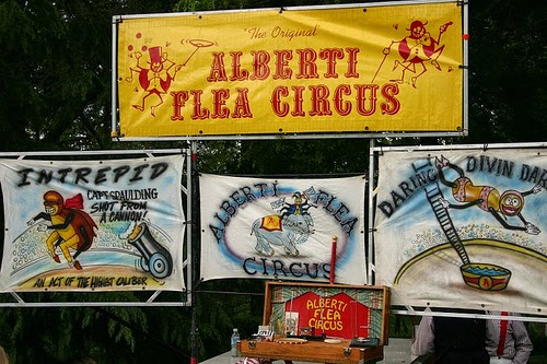 Carteles de Alberti Flea Circus (circo de pulgas)