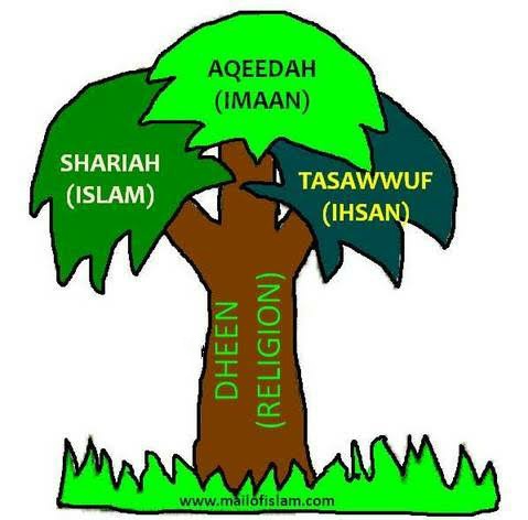Tasawwuf in Traditional Islamic Sciences