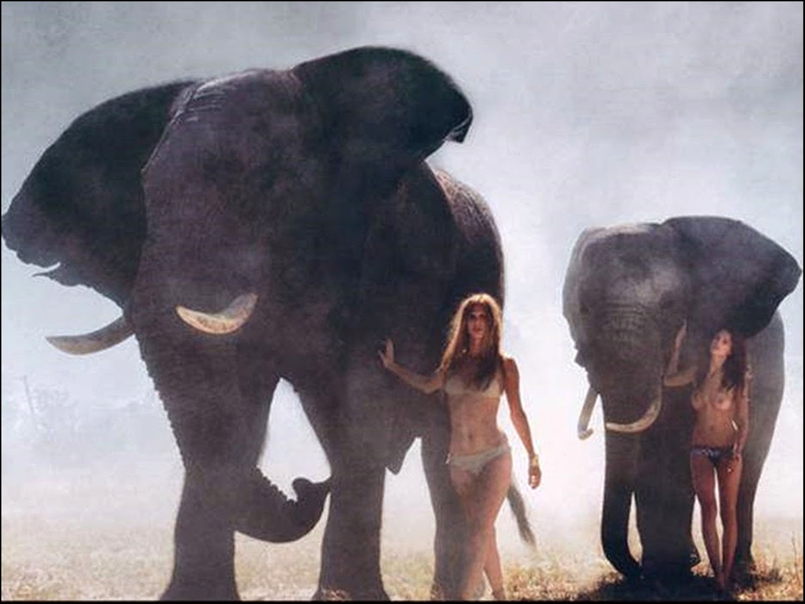 Pirelli Calendar 2009
