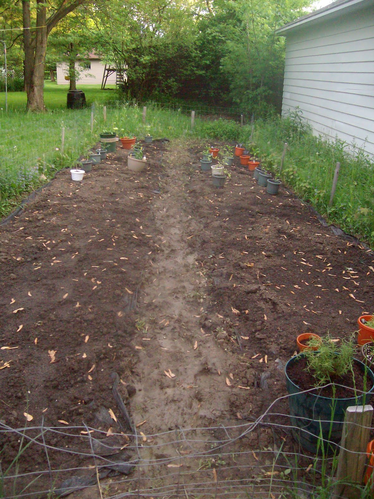 Peace, Love & Bagels DIY Vegetable Garden Weed Block and Potting Saplings