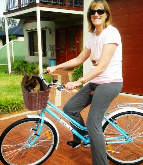 There comes a time in Midlife where you get to do fun things for yourself. My first playful purchase was a new bicycle.