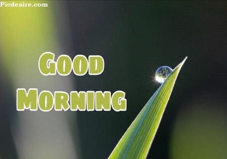 Cute Good Morning Images for Whatsapp | Best 21 Cute Good morning Photo Cute Good Morning Images for Whatsapp | Best 21 Cute Good morning Photo