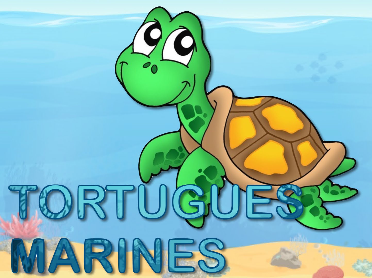 EI3A TORTUGUES MARINES