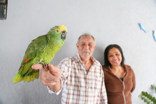 Final Feliz Família  consegue guarda definitiva de papagaio - Adamantina Notìcias