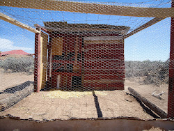 coop chicken earthbag northern mexico building