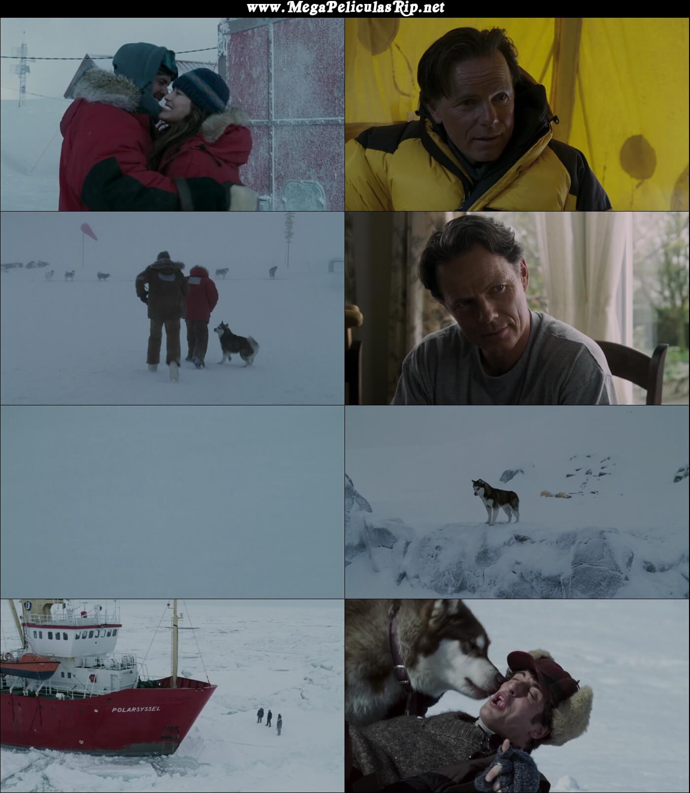 Rescate En La Antartida 1080p Latino