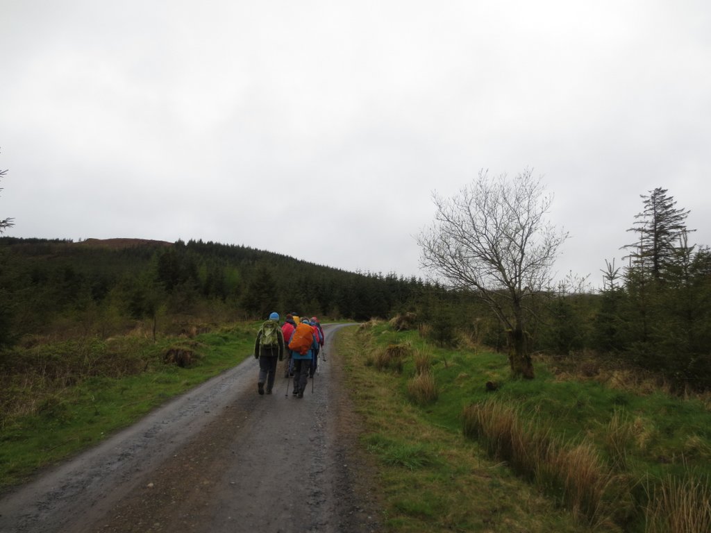 Tyndall Mountain Club