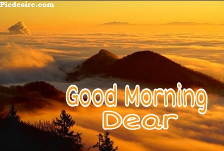 Good Morning Dear | 30 Good Morning My Dear Images Good Morning Dear | 30 Good Morning My Dear Images