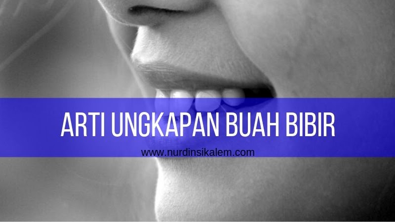 46+ Buah bibir artinya dalam bahasa indonesia ideas in 2021 