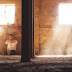 7 Signs it's Time to Let Go