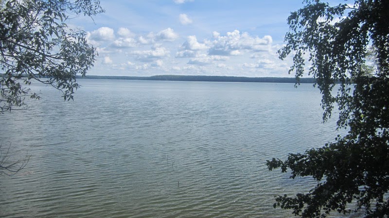 Тетеринское водохранилище сняли с дрона. Смотрите красивое аэровидео