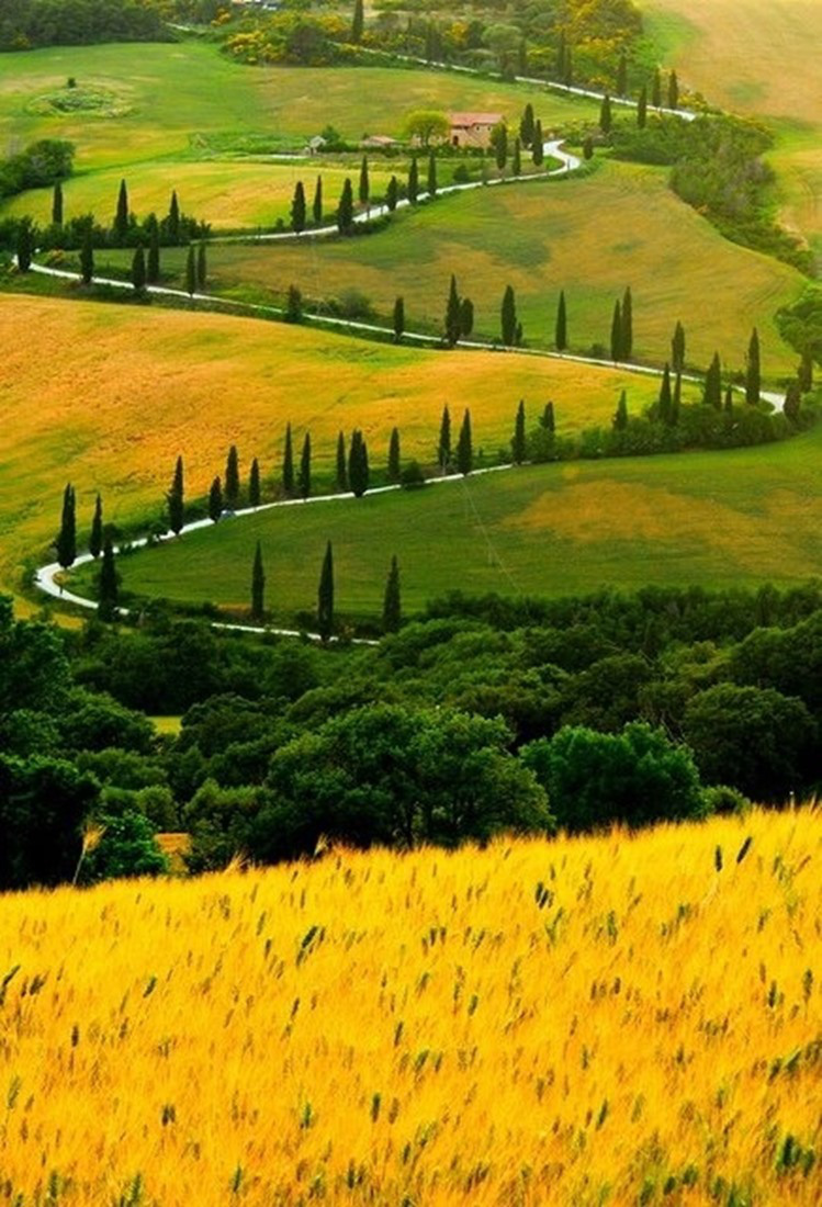 Zig Zag Road in Tuscany, Italy photo
