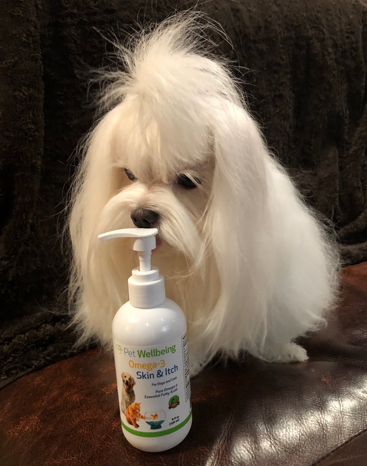 Pet Wellbeing Omega3 Skin & Itch for Dogs Review Blue Skies for Me