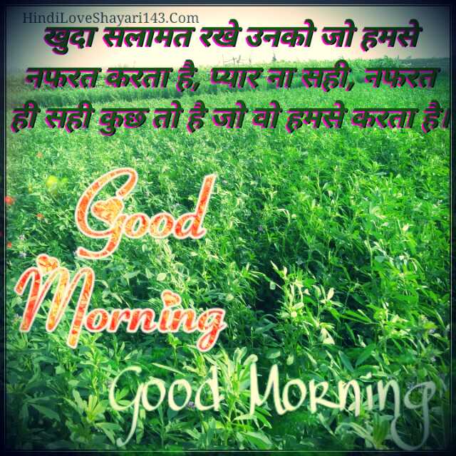 Good Morning Shayari, Download HD Wallpaper, SMS, Status, Motivational