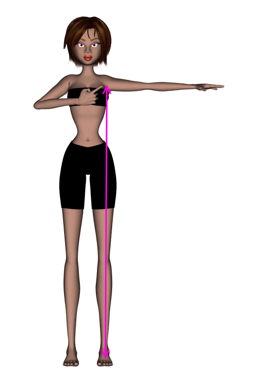 UPFIT Corde à Sauter Lestée : Poignées Texturées Pour Une Prise Ultra Confortable