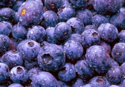 Μύρτιλλα: Στη μάχη των ρυτίδων, του καρκίνου, του διαβήτη και για γερό μυαλό!