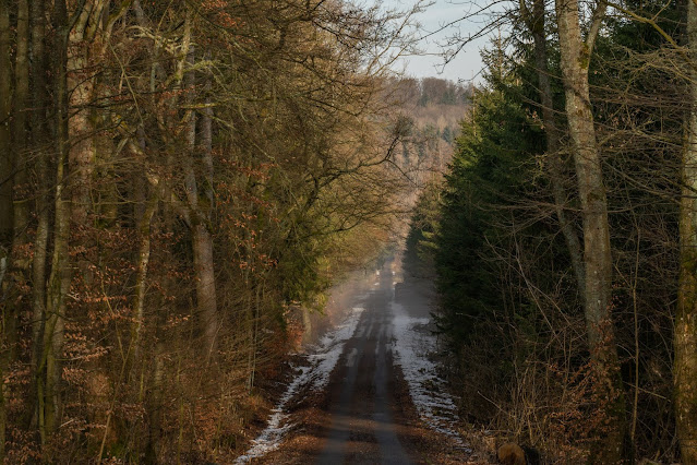 Felsentour Herbstein | Extratour Vogelsberg | Wandern in Hessen 03