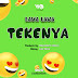 Download Audio | Lava Lava - Tekenya | Mp3