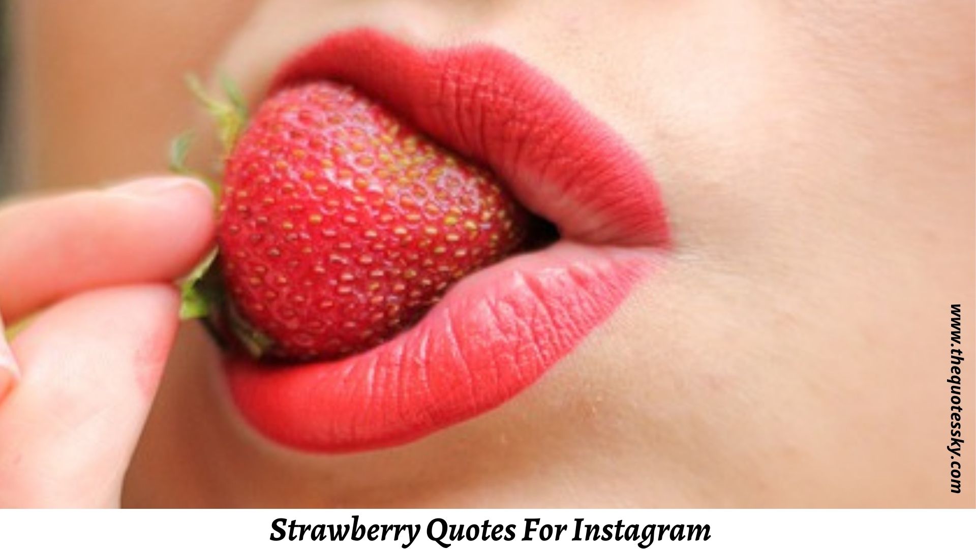 111+ Strawberry Quotes & Captions For Instagram Pictures TQS