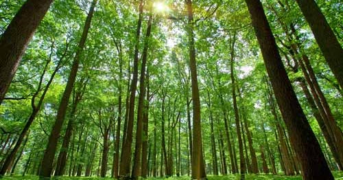 3 Masalah Pokok Ekonomi Menurut Aliran Klasik Dan Contohnya Lengkap Blog Ekonomi 3 Masalah Pokok Ekonomi Menurut Aliran Klasik Dan Contohnya Lengkap Blog Ekonomi