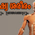 Download Question and Answers on Human Body