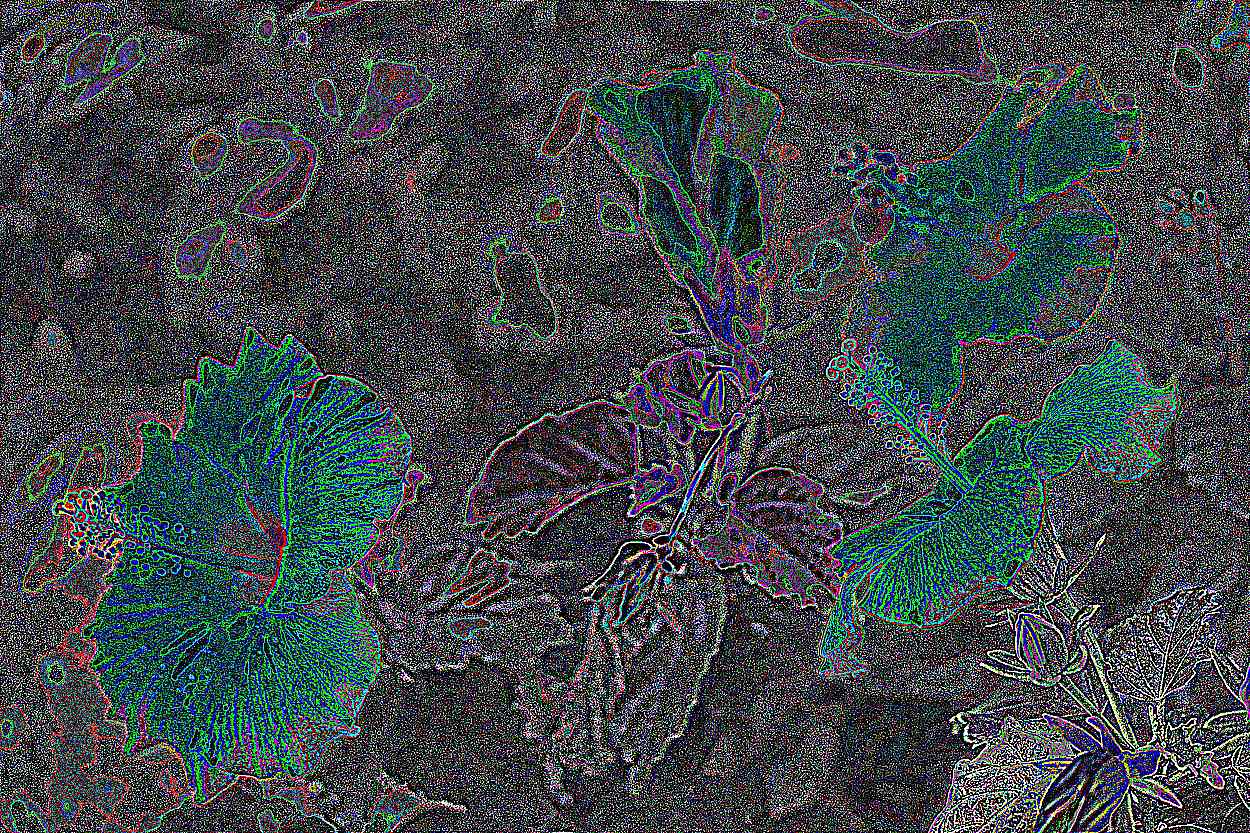 화성 용주사 화성 용주사