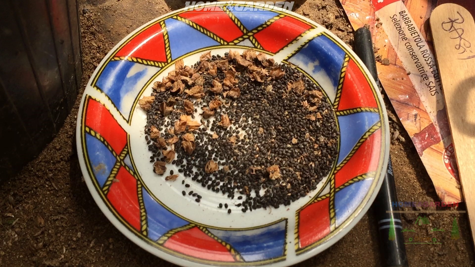 How to Collect Basil Seeds