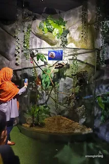jakarta aquarium neo soho