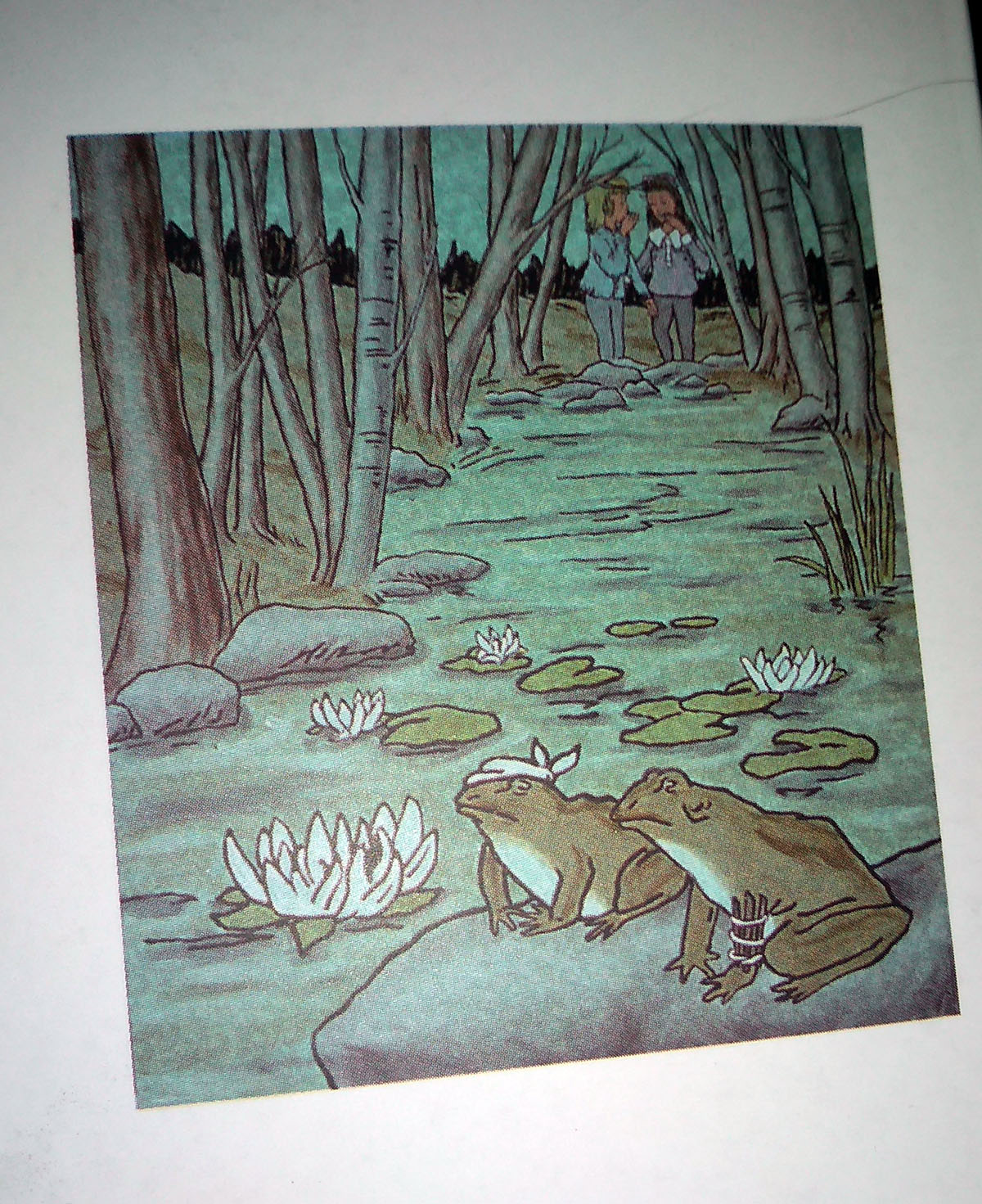 ¿Quién se hará cargo del hospital de ranas? Lorrie Moore Páginas Colaterales / Blog de lectura