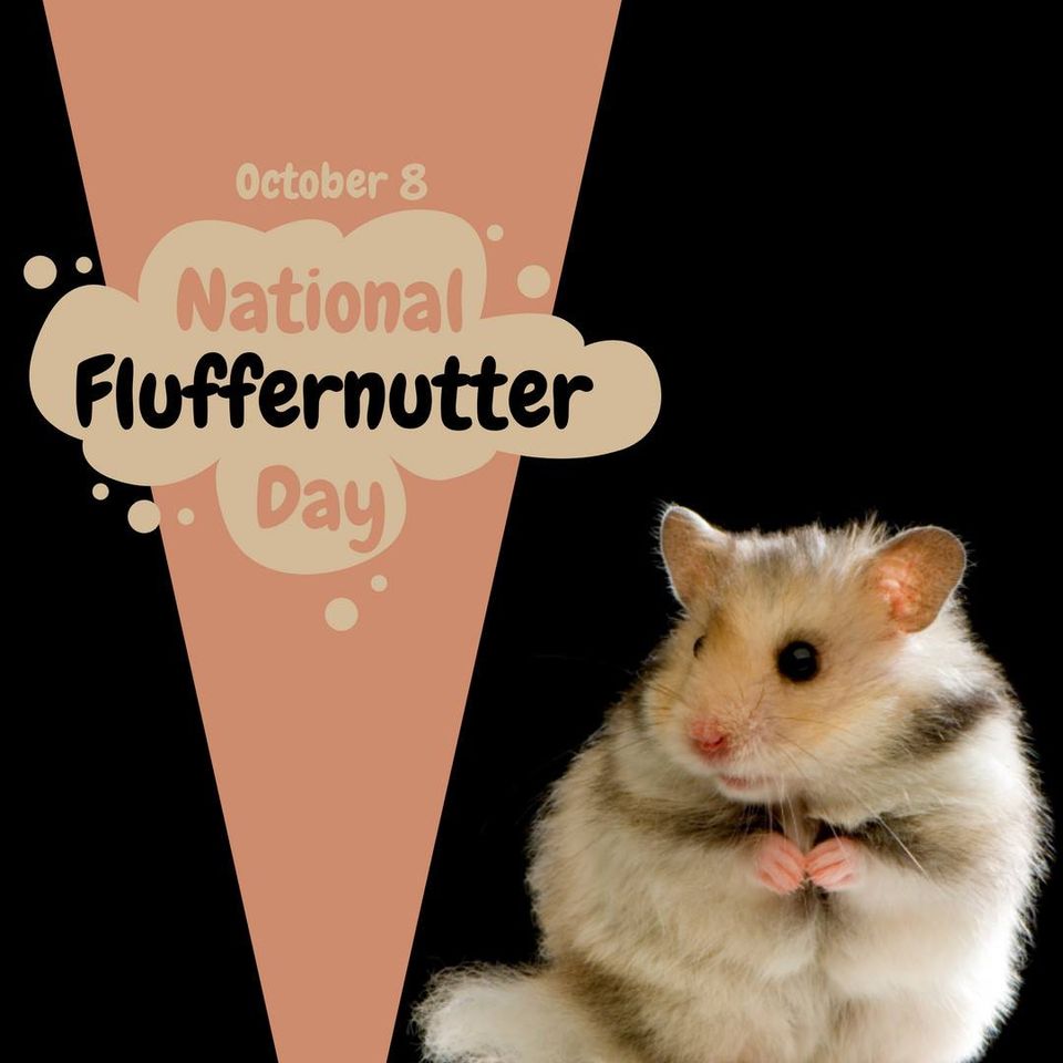 National Fluffernutter Day Wishes Sweet Images National Fluffernutter Day Wishes Sweet Images