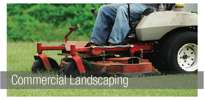 Commercial Landscaping