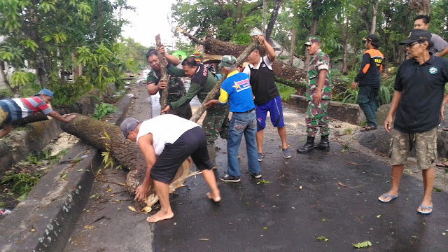 TNI Bersama Masyarakat Dan Relawan Mengevakuasi Pohon Tumbang