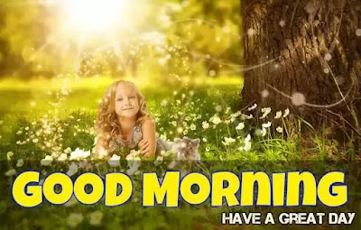 Good Morning Images Good Morning Images