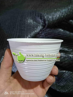 Pot Sarang Tawon, Pot Plastik