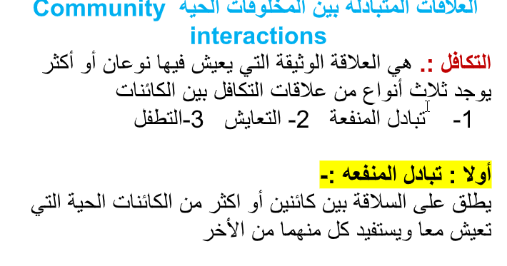 المهرجة علاقة وشقائق بين العلاقة السمكة النعمان العلاقة بين