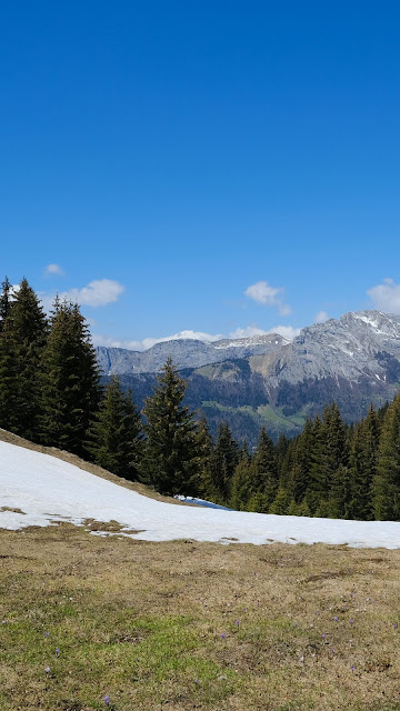 Mountains, Valley, Forest, Snow, Landscape Mountains, Valley, Forest, Snow, Landscape